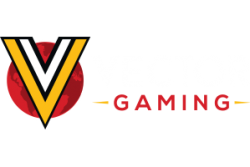 VectorGaming_Customer
