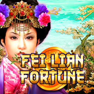 FEI LIAN FORTUNE